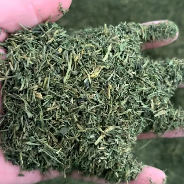 🇵🇱 Testy mielenia łodygi pietruszki! 🌿 Chcesz przetestować swój produkt?&hellip;